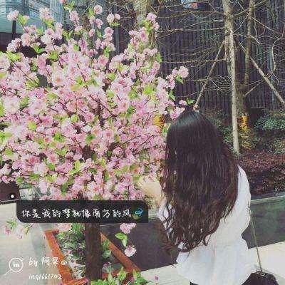 manbetx手机网页登入